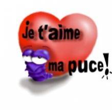 zenitram77:petite puce