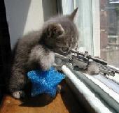 zenitram77:sinper en vu