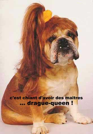 zeniram77:sa soule les maitre dra queen