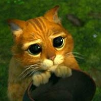 zenitram77:il fai pitier