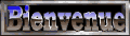 la bien venu sur se blog