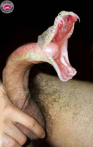 zenitram77 je parle au ga  vou emerez avoir sa au bout ??lol