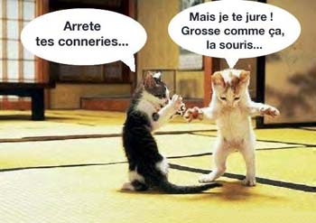 zenitram77:mdr sa detrui