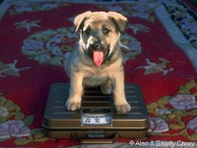 zenitram77 mdrrrrrrrrrrrr