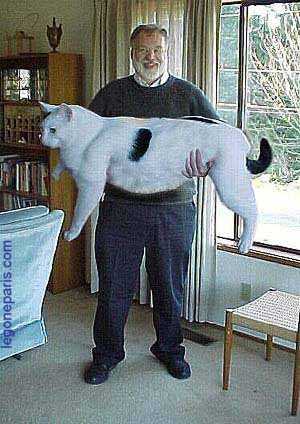 zenitram77 :houuuuuuuuuuuuuuu