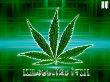 zenitram77 pour ou contre