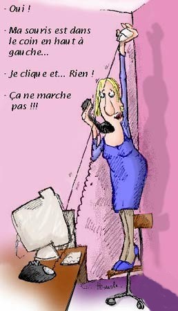 zenitram77 les femme lol