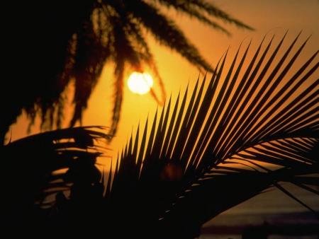 zenitram77 je kiffffffff